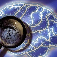 cerebrohuelladigitalpsicologiaforense