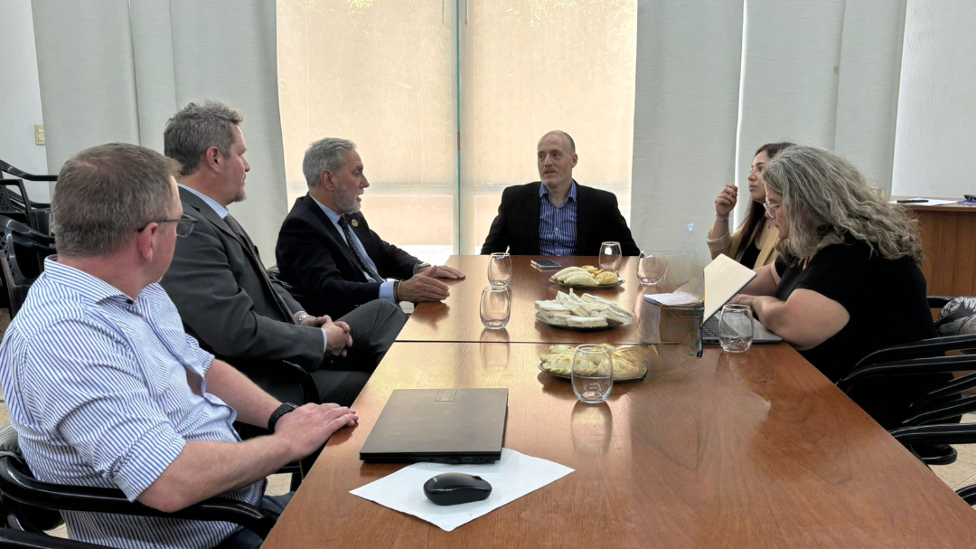 WhatsApp Image 2025 11 25 at 09.31.55