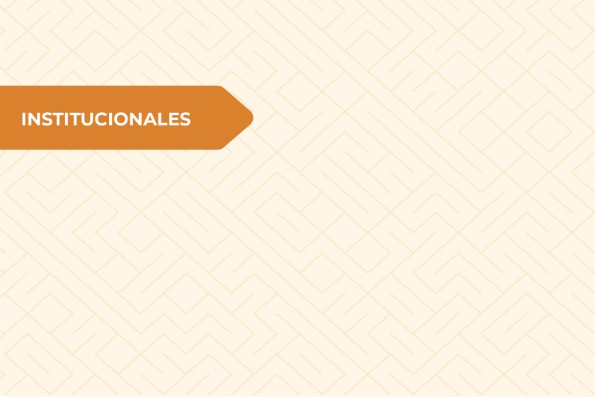 Institucionales web